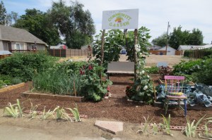 ???????????????????????????????