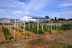 ???????????????????????????????